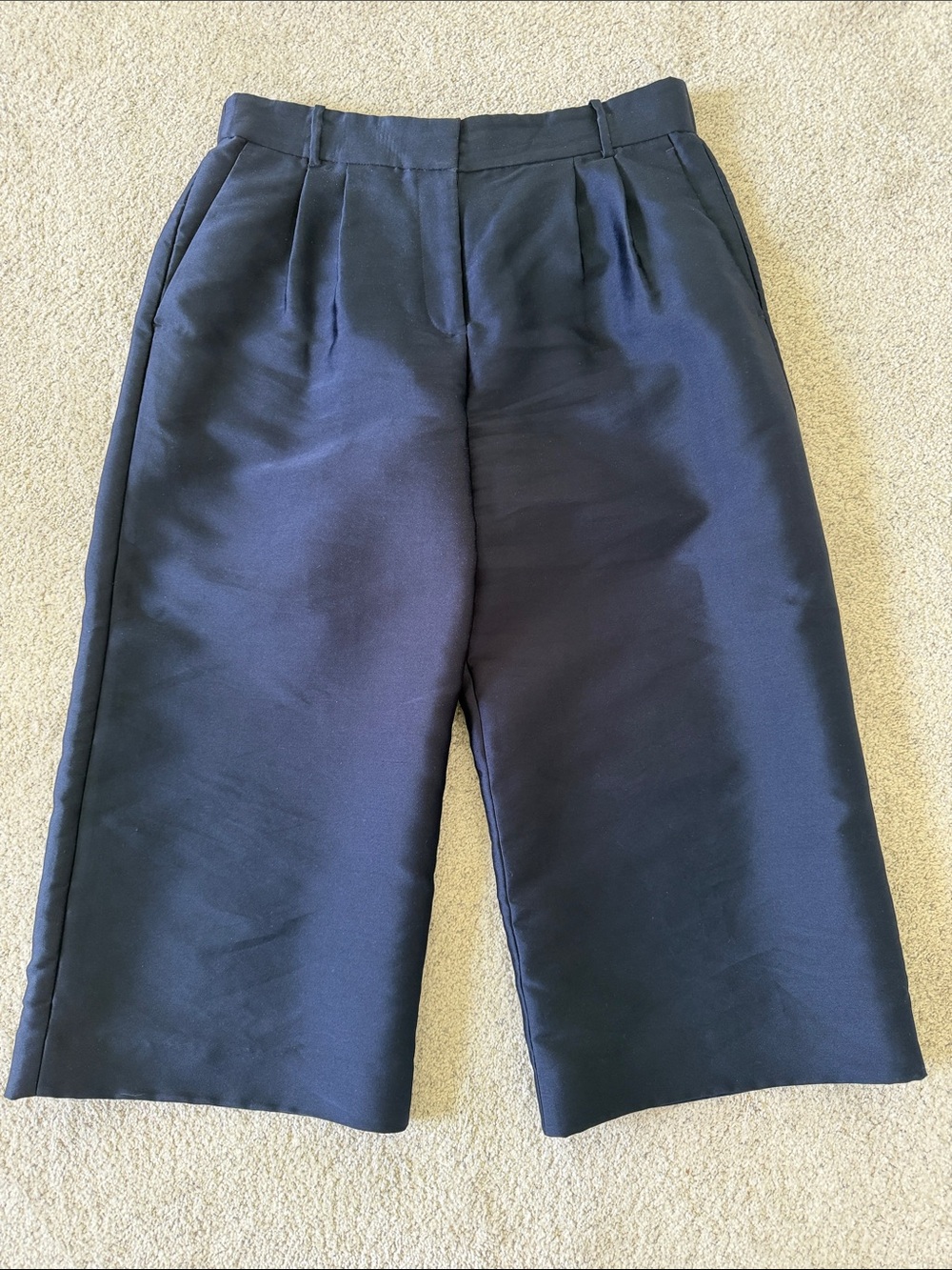 J. Crew Navy Lined pants